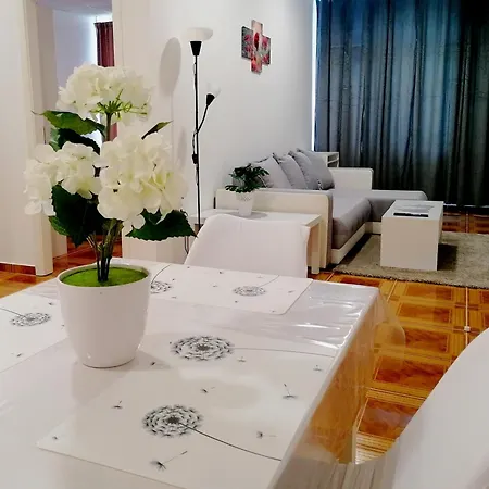 Daire Tri Kralja - Three Kings In The Center With Private Parking *